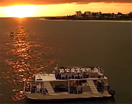 dolphin cruise sunset charters